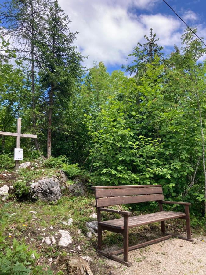 Das Schutzhaus-Bed And Breakfast-Dein Basislager Im Salzkammergut Bad Aussee Kültér fotó