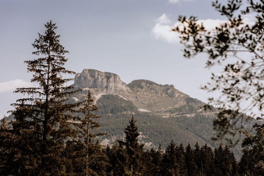 Das Schutzhaus-Bed And Breakfast-Dein Basislager Im Salzkammergut Bad Aussee Kültér fotó